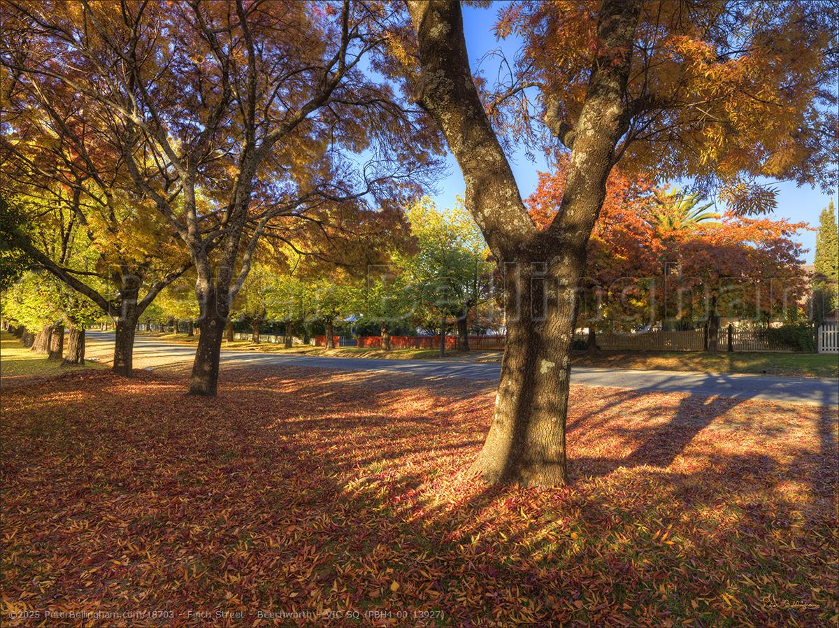 Peter Bellingham Photography Finch Street - Beechworth - VIC SQ (PBH4 00 13927)